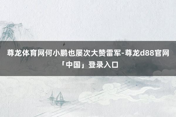 尊龙体育网何小鹏也屡次大赞雷军-尊龙d88官网「中国」登录入口