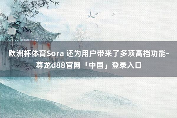 欧洲杯体育Sora 还为用户带来了多项高档功能-尊龙d88官网「中国」登录入口