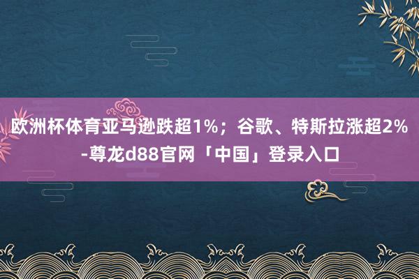 欧洲杯体育亚马逊跌超1%；谷歌、特斯拉涨超2%-尊龙d88官网「中国」登录入口