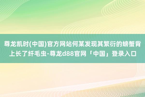 尊龙凯时(中国)官方网站何某发现其繁衍的螃蟹背上长了纤毛虫-尊龙d88官网「中国」登录入口