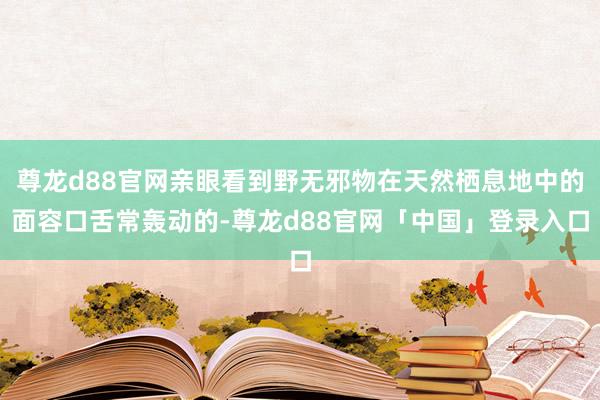 尊龙d88官网亲眼看到野无邪物在天然栖息地中的面容口舌常轰动的-尊龙d88官网「中国」登录入口