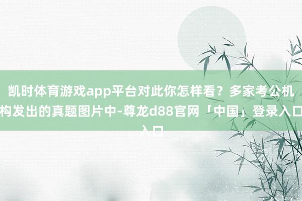 凯时体育游戏app平台对此你怎样看？多家考公机构发出的真题图片中-尊龙d88官网「中国」登录入口