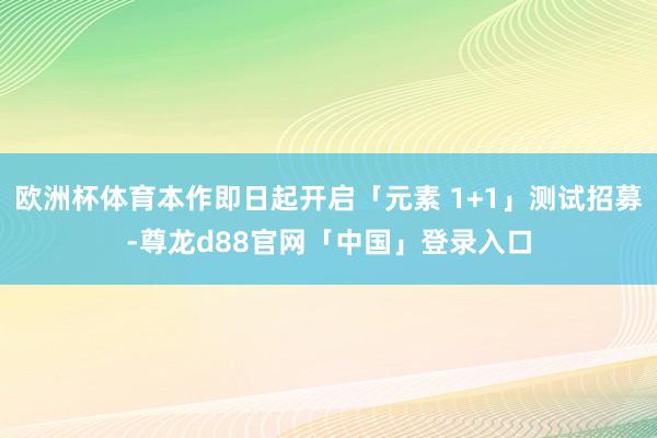 欧洲杯体育本作即日起开启「元素 1+1」测试招募-尊龙d88官网「中国」登录入口