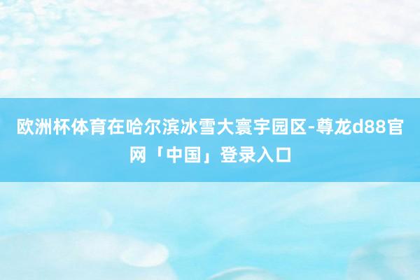 欧洲杯体育在哈尔滨冰雪大寰宇园区-尊龙d88官网「中国」登录入口