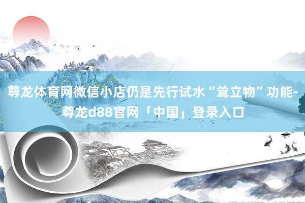 尊龙体育网微信小店仍是先行试水“耸立物”功能-尊龙d88官网「中国」登录入口