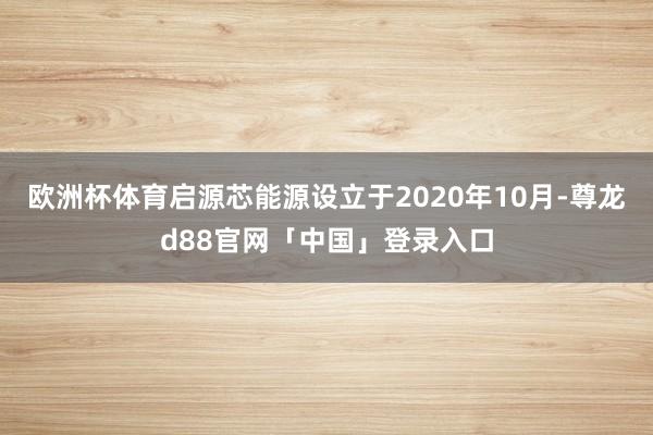 欧洲杯体育启源芯能源设立于2020年10月-尊龙d88官网「中国」登录入口