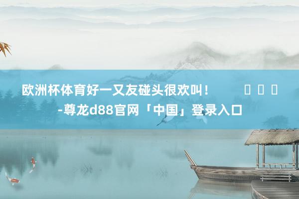 欧洲杯体育好一又友碰头很欢叫！        			-尊龙d88官网「中国」登录入口