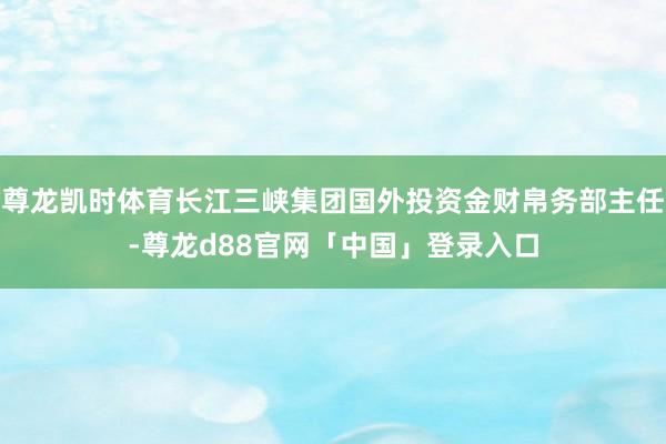 尊龙凯时体育长江三峡集团国外投资金财帛务部主任-尊龙d88官网「中国」登录入口