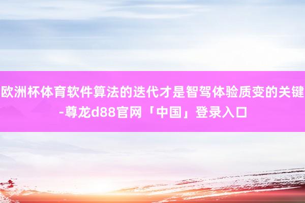 欧洲杯体育软件算法的迭代才是智驾体验质变的关键-尊龙d88官网「中国」登录入口