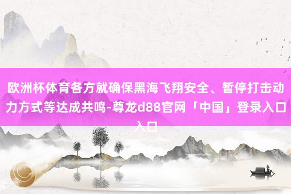 欧洲杯体育各方就确保黑海飞翔安全、暂停打击动力方式等达成共鸣-尊龙d88官网「中国」登录入口
