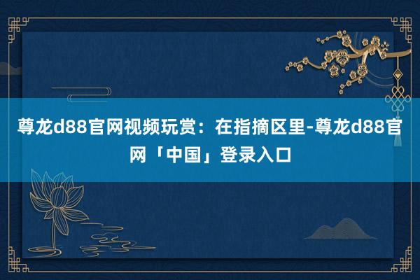 尊龙d88官网视频玩赏：在指摘区里-尊龙d88官网「中国」登录入口