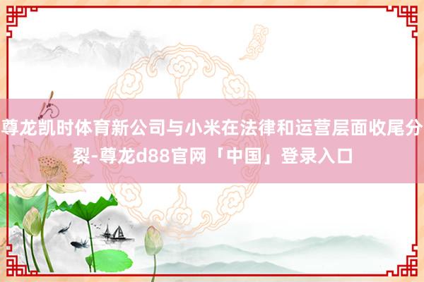 尊龙凯时体育新公司与小米在法律和运营层面收尾分裂-尊龙d88官网「中国」登录入口