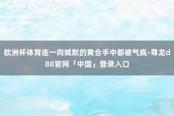 欧洲杯体育连一向缄默的黄合手中都被气疯-尊龙d88官网「中国」登录入口