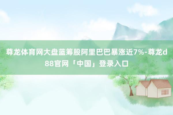 尊龙体育网大盘蓝筹股阿里巴巴暴涨近7%-尊龙d88官网「中国」登录入口