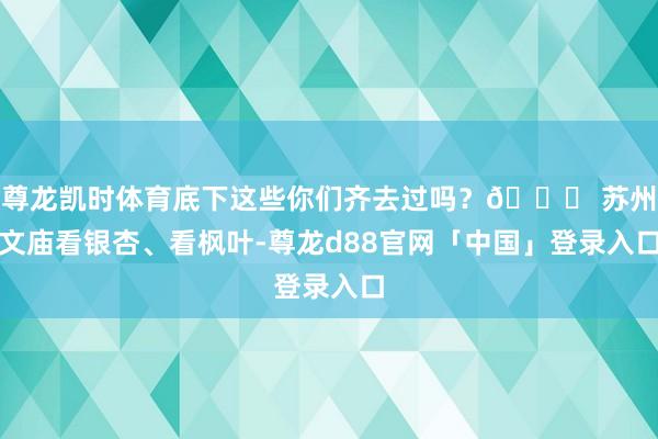 尊龙凯时体育底下这些你们齐去过吗？👉 苏州文庙看银杏、看枫叶-尊龙d88官网「中国」登录入口