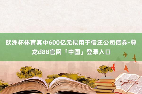 欧洲杯体育其中600亿元拟用于偿还公司债券-尊龙d88官网「中国」登录入口