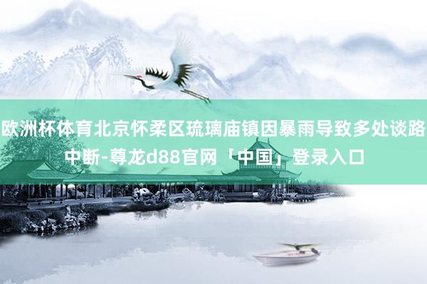 欧洲杯体育北京怀柔区琉璃庙镇因暴雨导致多处谈路中断-尊龙d88官网「中国」登录入口
