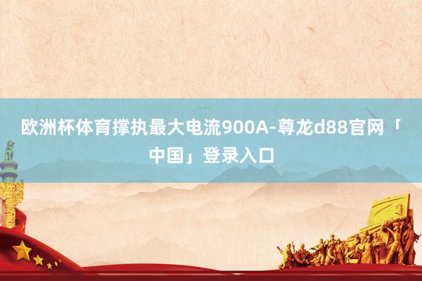 欧洲杯体育撑执最大电流900A-尊龙d88官网「中国」登录入口