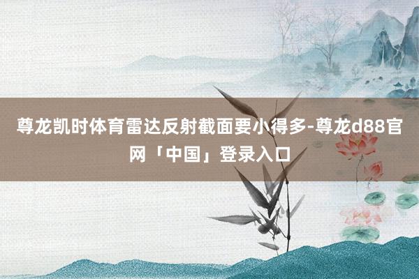 尊龙凯时体育雷达反射截面要小得多-尊龙d88官网「中国」登录入口