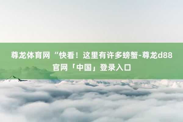 尊龙体育网 “快看！这里有许多螃蟹-尊龙d88官网「中国」登录入口