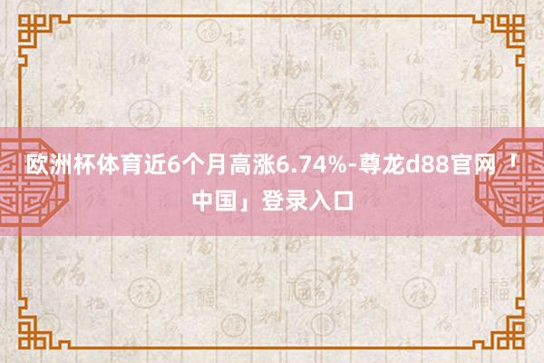 欧洲杯体育近6个月高涨6.74%-尊龙d88官网「中国」登录入口
