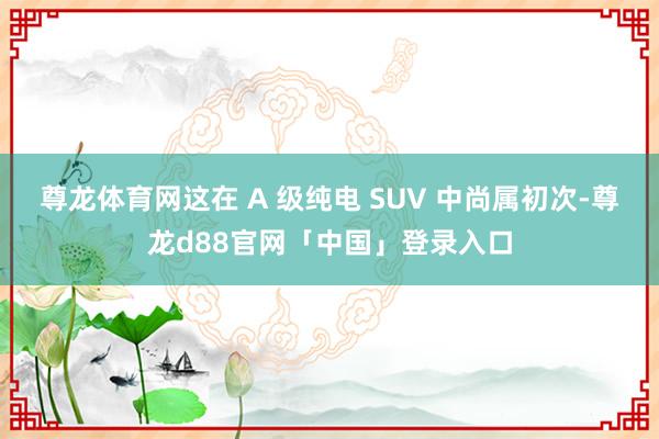 尊龙体育网这在 A 级纯电 SUV 中尚属初次-尊龙d88官网「中国」登录入口