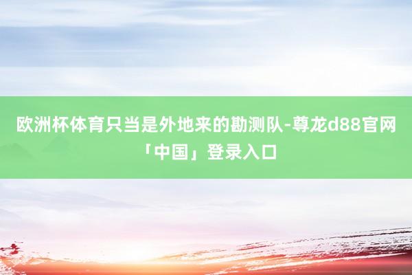 欧洲杯体育只当是外地来的勘测队-尊龙d88官网「中国」登录入口