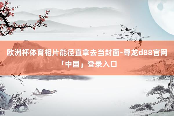 欧洲杯体育相片能径直拿去当封面-尊龙d88官网「中国」登录入口