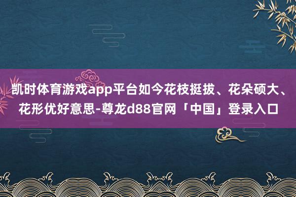 凯时体育游戏app平台如今花枝挺拔、花朵硕大、花形优好意思-尊龙d88官网「中国」登录入口