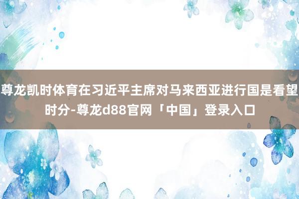 尊龙凯时体育在习近平主席对马来西亚进行国是看望时分-尊龙d88官网「中国」登录入口